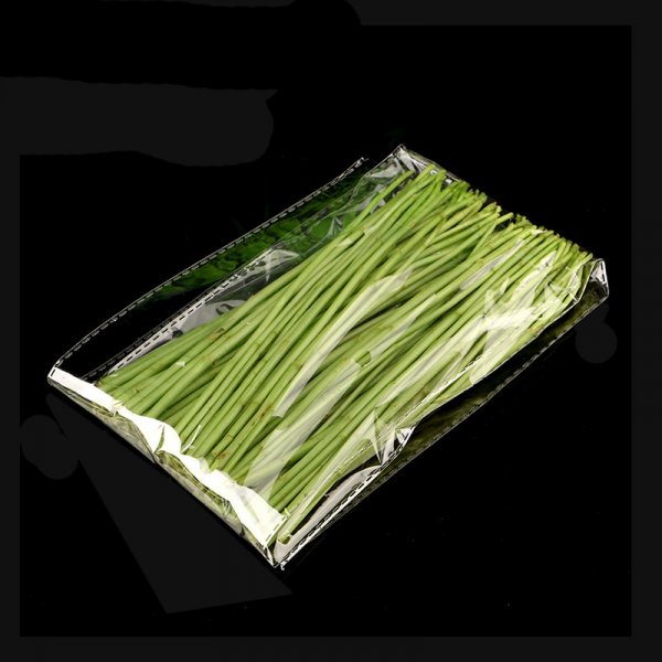 Transparend food storage bag