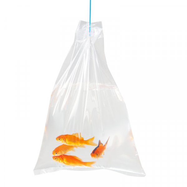 High transparency Poly bags